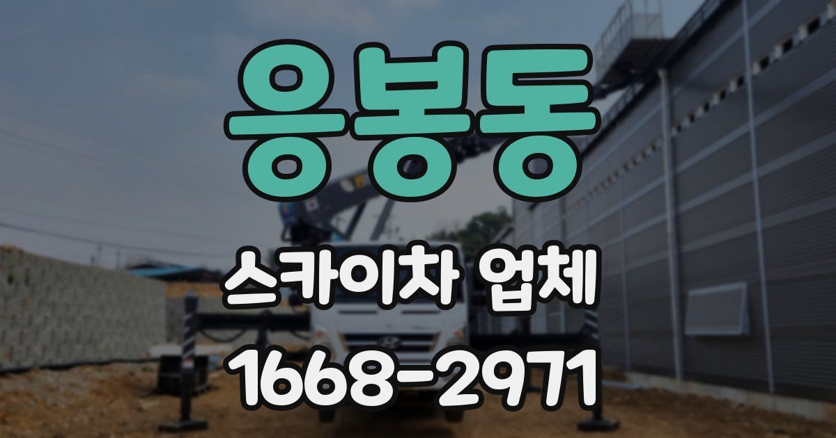 응봉동 스카이차 업체