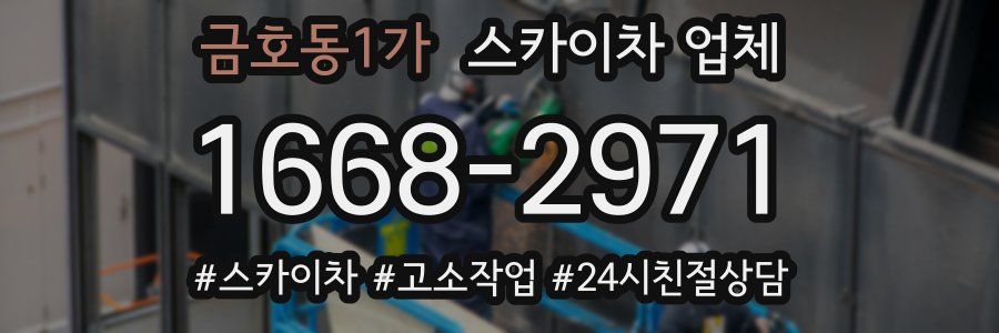 금호동1가 스카이차 업체