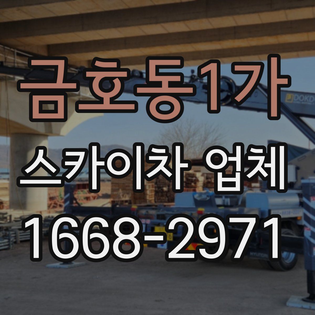 금호동1가 스카이차 업체