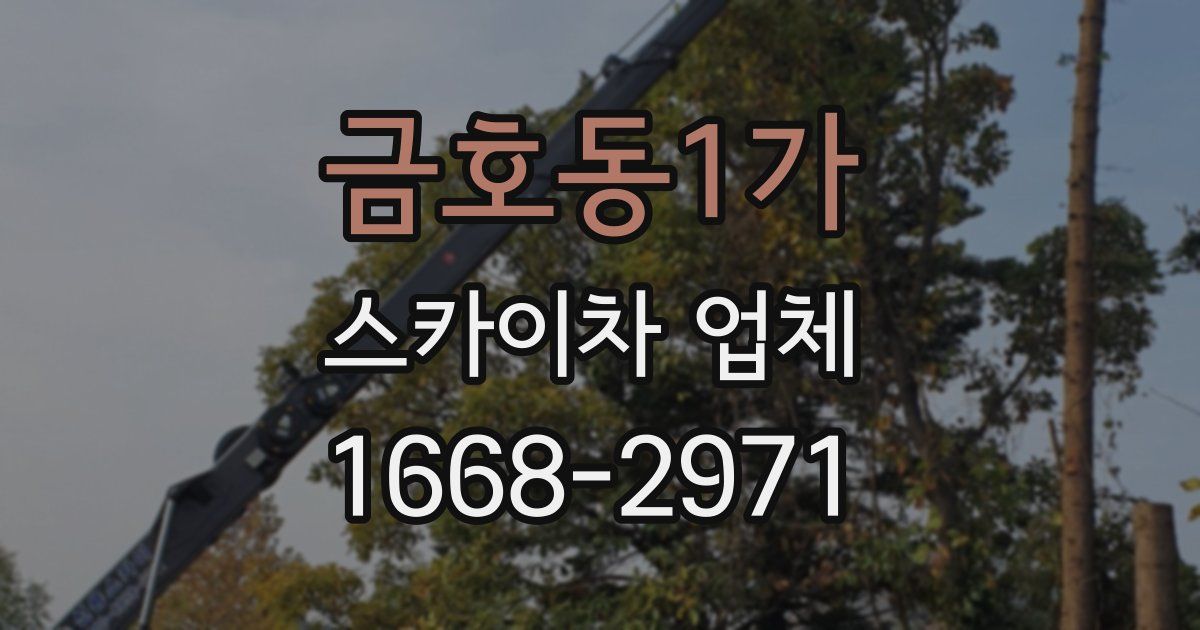금호동1가 스카이차 업체