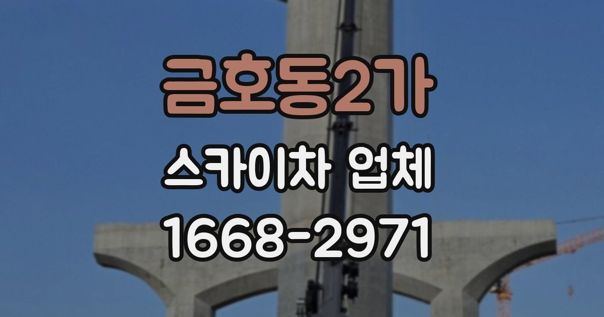 금호동2가 스카이차 업체