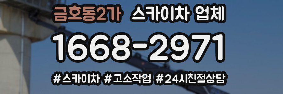 금호동2가 스카이차 업체