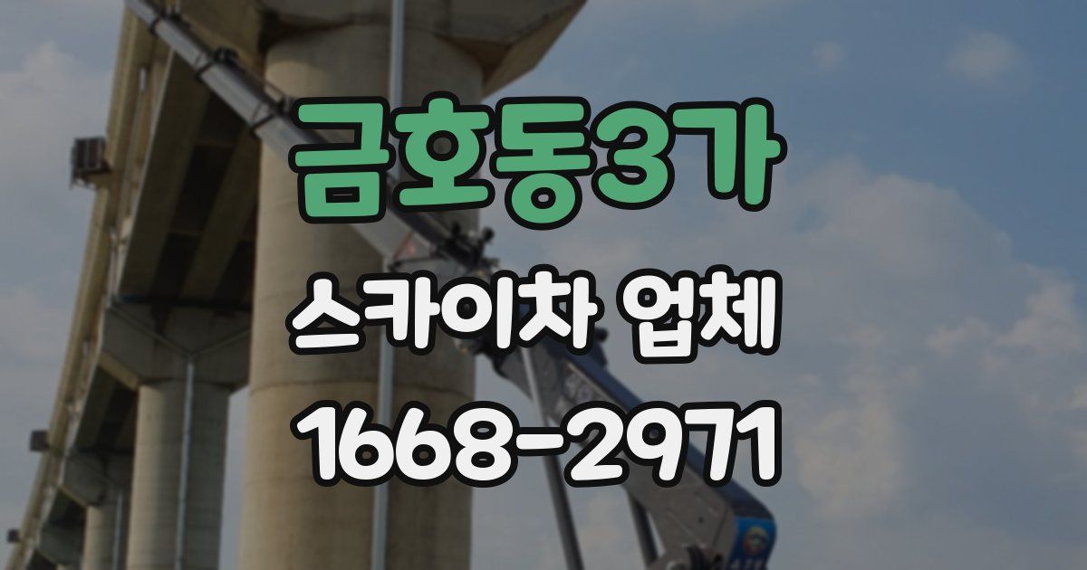 금호동3가 스카이차 업체