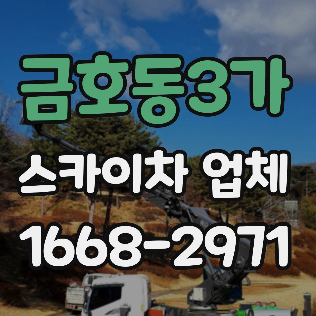 금호동3가 스카이차 업체