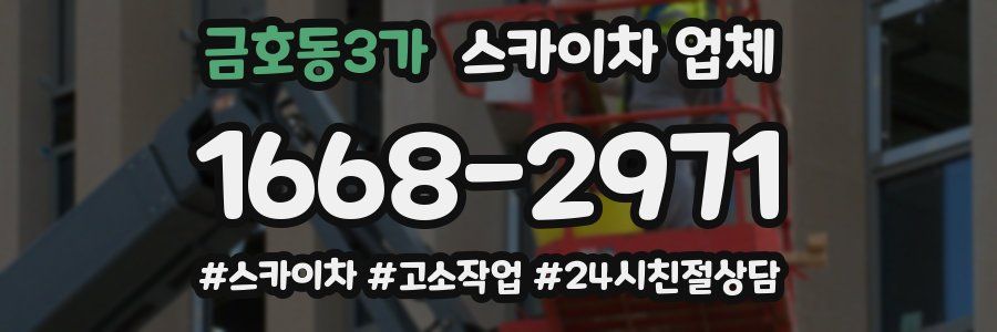 금호동3가 스카이차 업체
