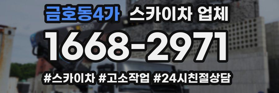 금호동4가 스카이차 업체