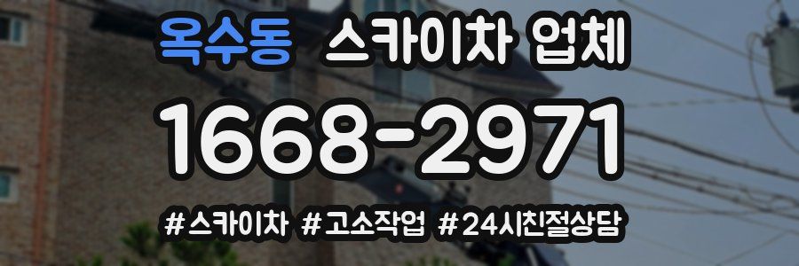 옥수동 스카이차 업체