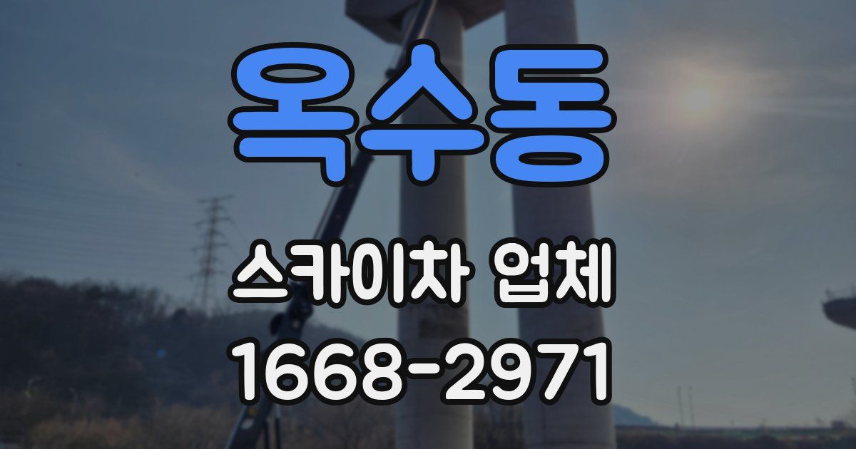 옥수동 스카이차 업체