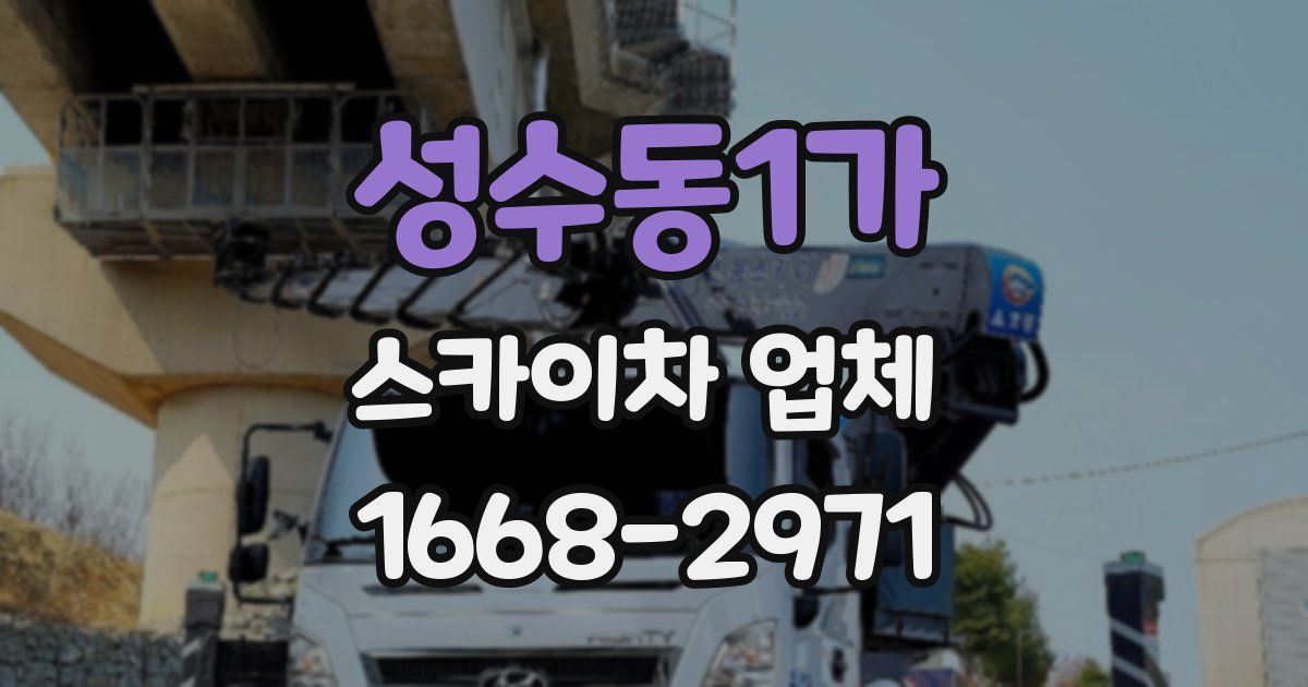 성수동1가 스카이차 업체