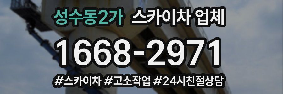 성수동2가 스카이차 업체