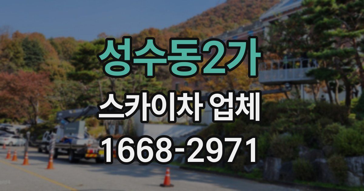 성수동2가 스카이차 업체