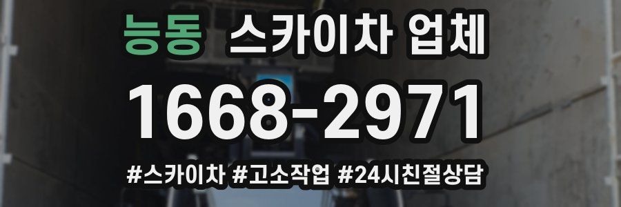 능동 스카이차 업체