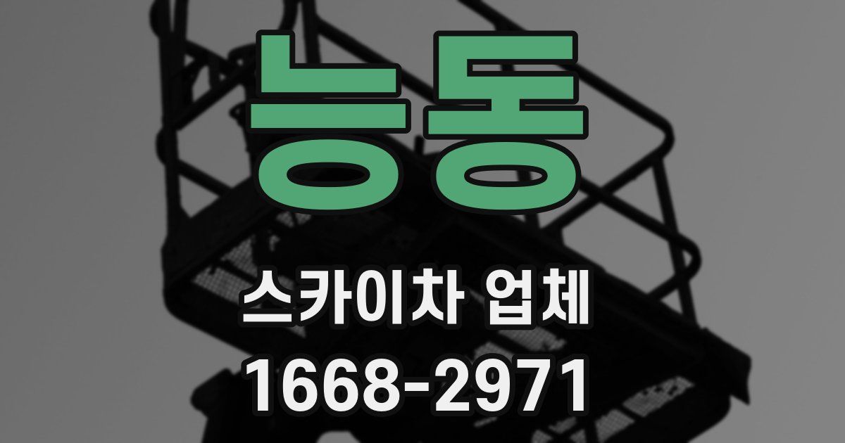 능동 스카이차 업체
