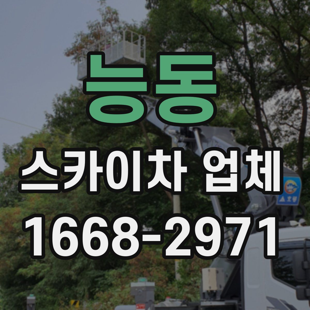 능동 스카이차 업체