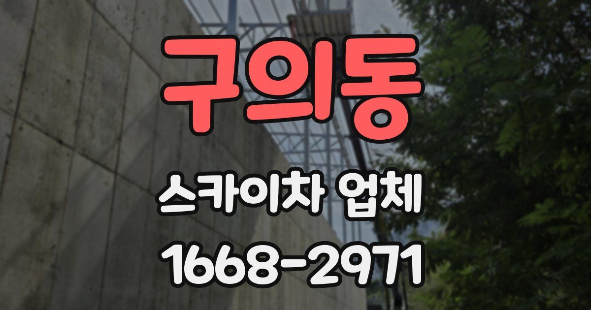 구의동 스카이차 업체