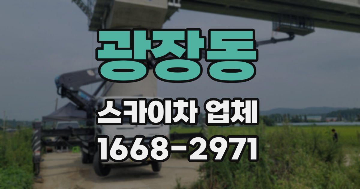 광장동 스카이차 업체