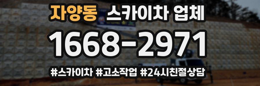 자양동 스카이차 업체