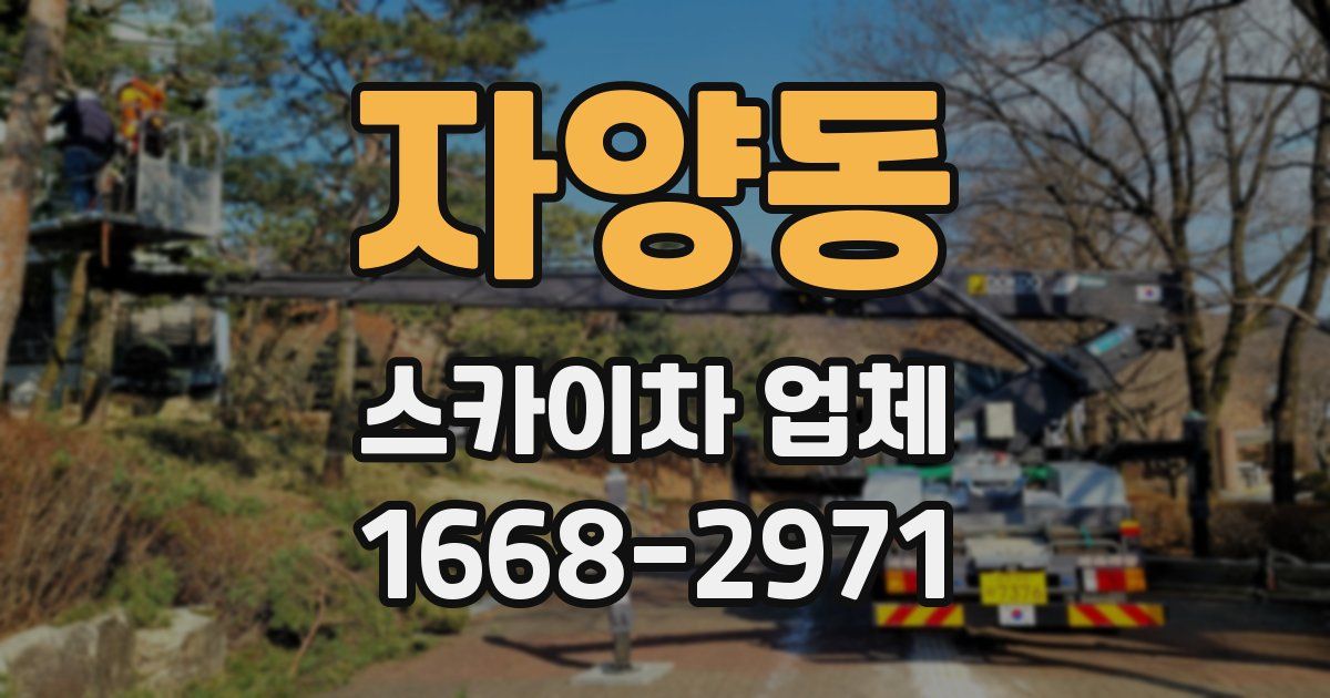 자양동 스카이차 업체