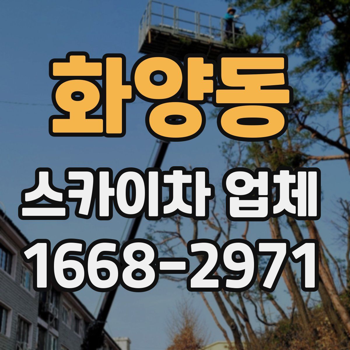 화양동 스카이차 업체