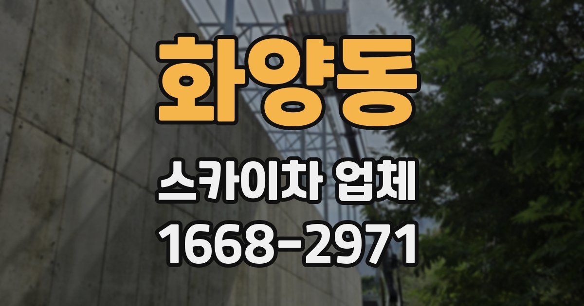 화양동 스카이차 업체