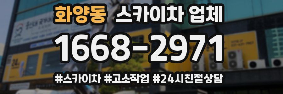 화양동 스카이차 업체