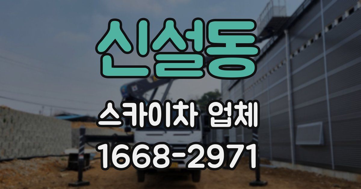 신설동 스카이차 업체