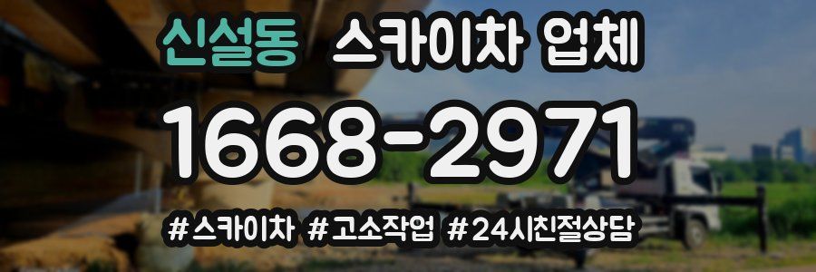 신설동 스카이차 업체