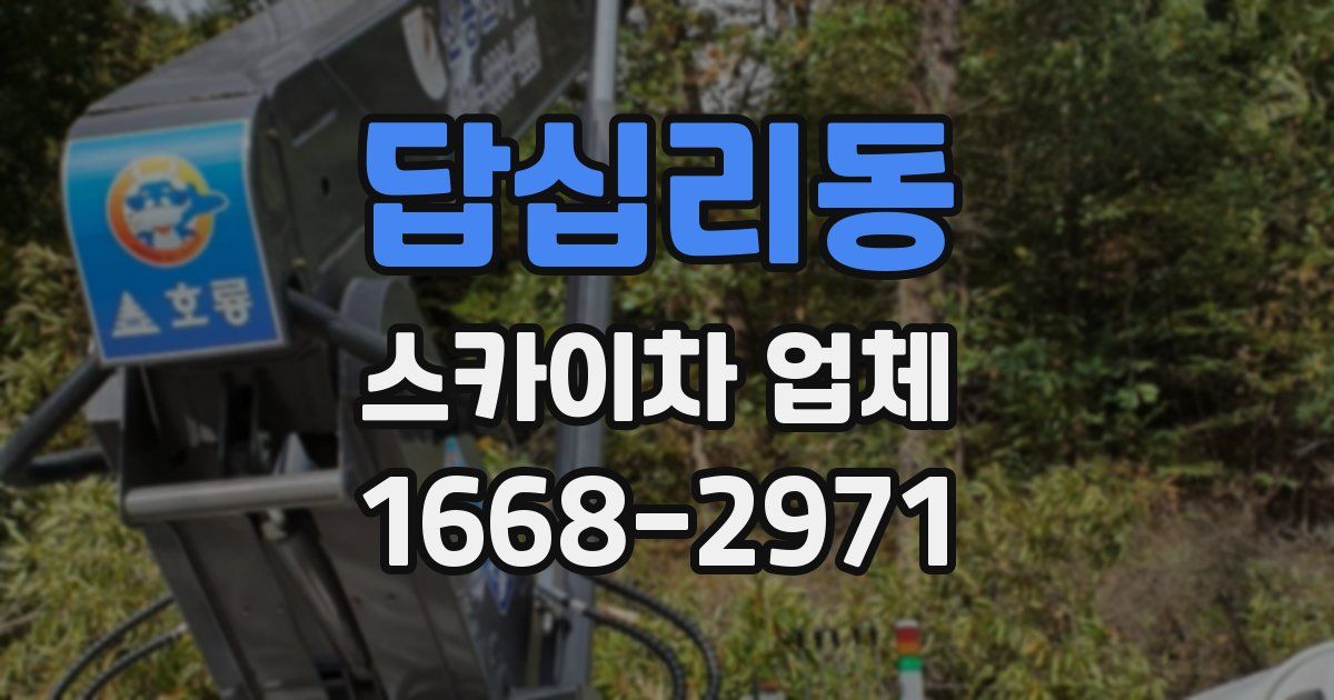 답십리동 스카이차 업체