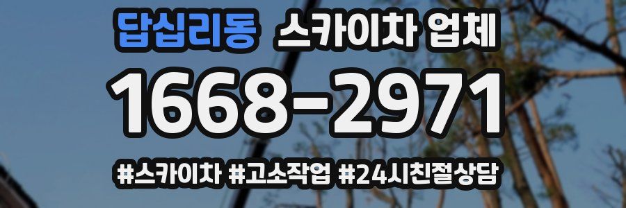 답십리동 스카이차 업체