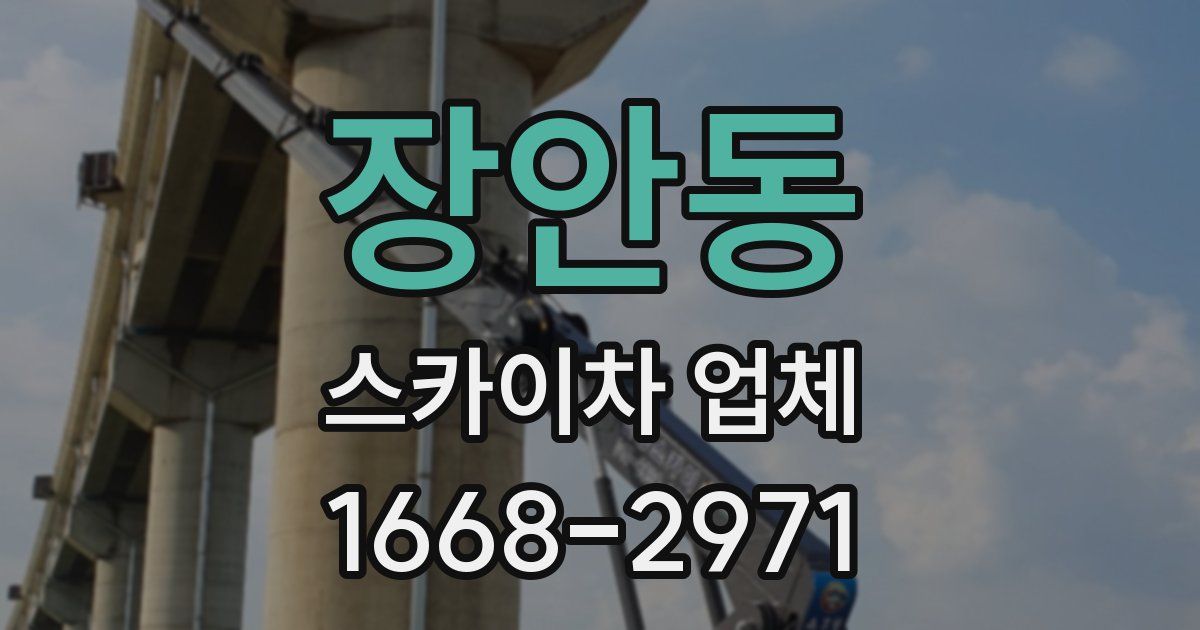 장안동 스카이차 업체