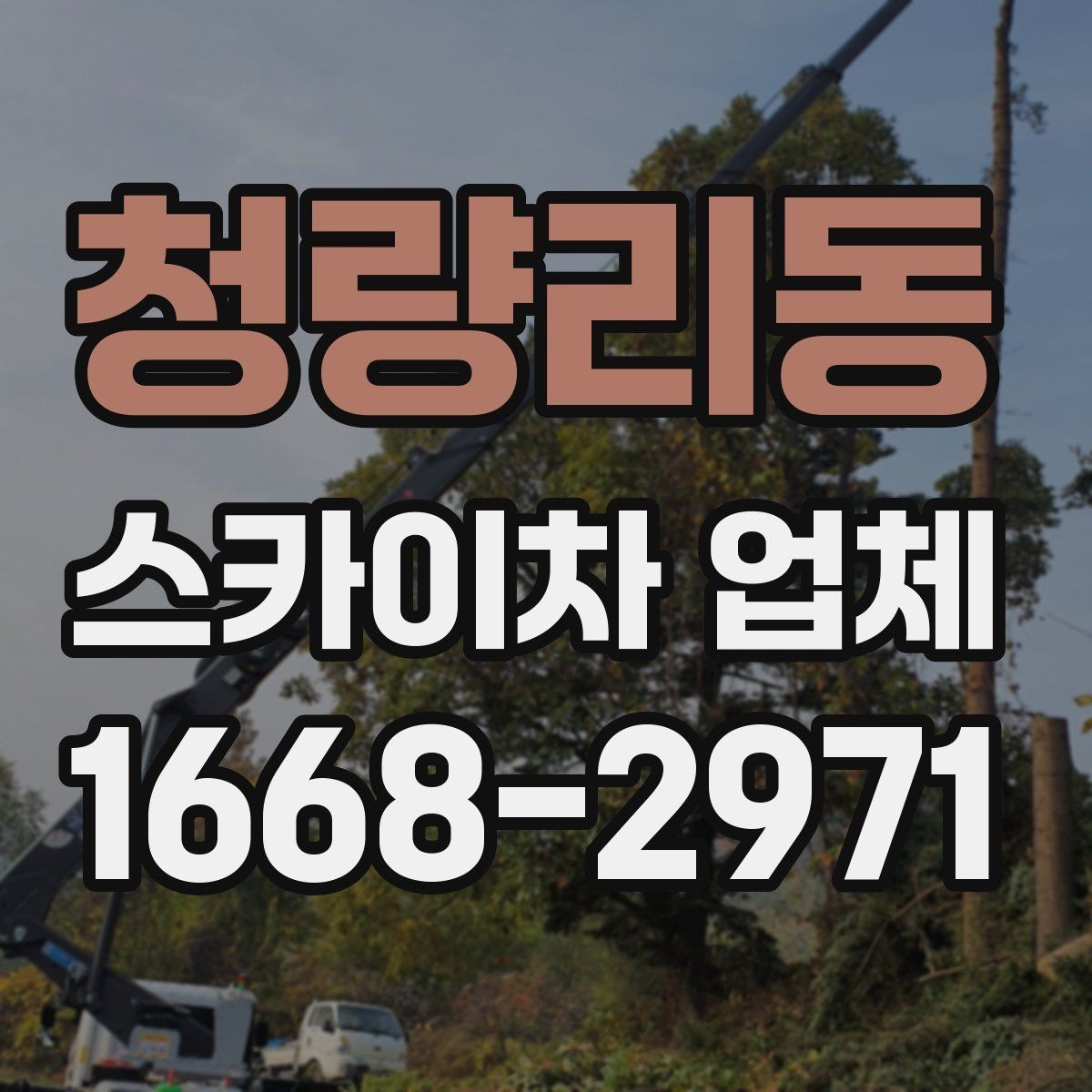 청량리동 스카이차 업체 이용 전 확인하는 접근 공간과 진입로