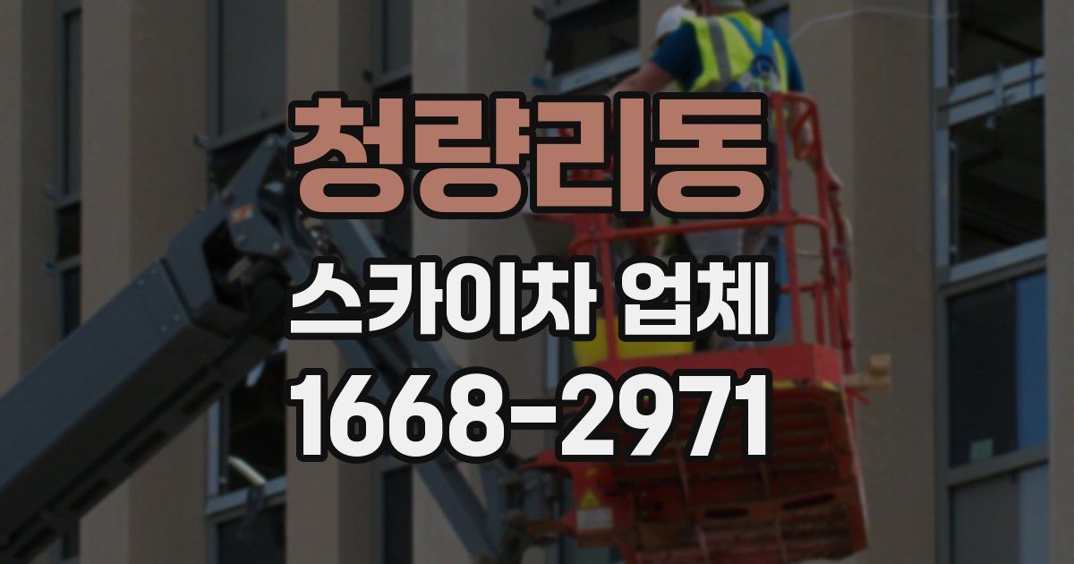 청량리동 스카이차 업체