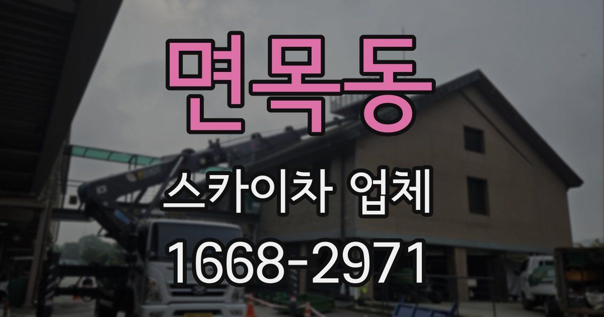 면목동 스카이차 업체