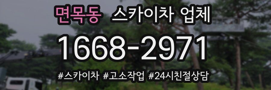 면목동 스카이차 업체