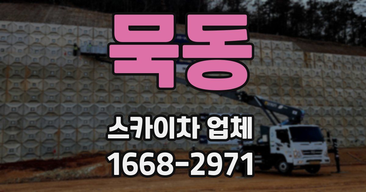 묵동 스카이차 업체