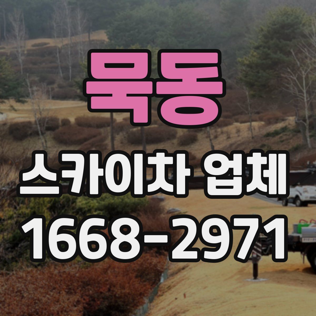 묵동 스카이차 업체