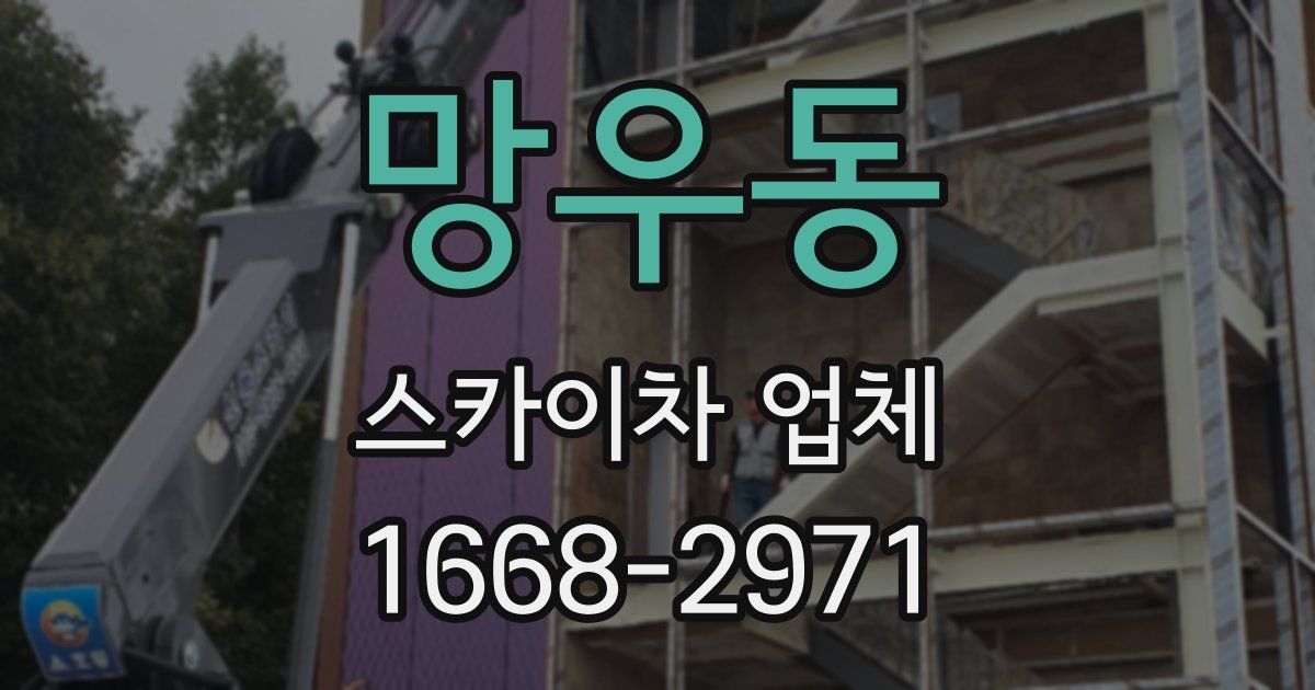 망우동 스카이차 업체