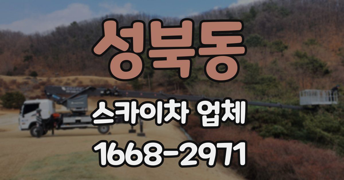 성북동 스카이차 업체