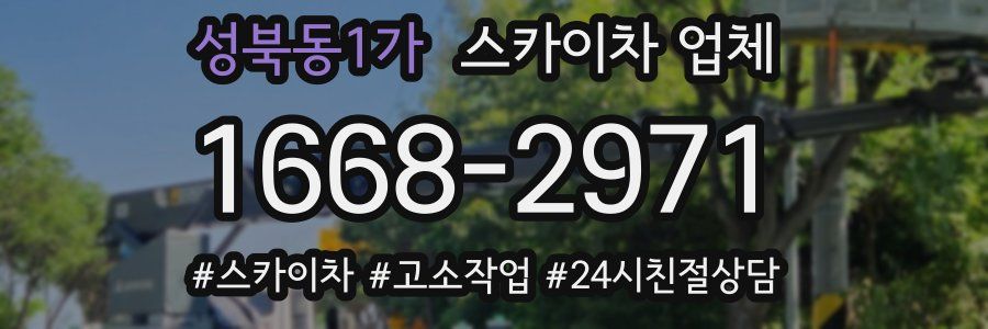 성북동1가 스카이차 업체