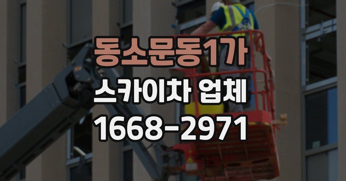 동소문동1가 스카이차 업체