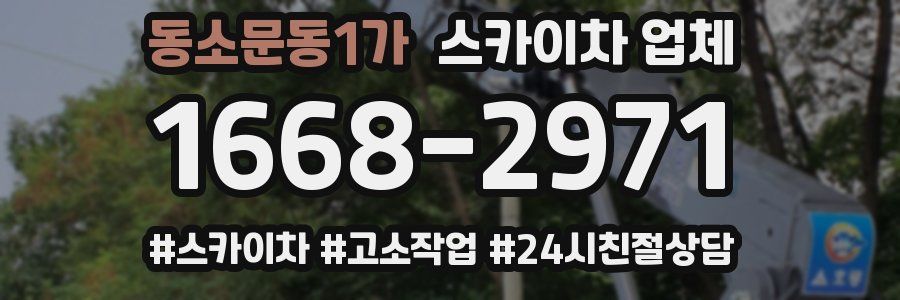 동소문동1가 스카이차 업체