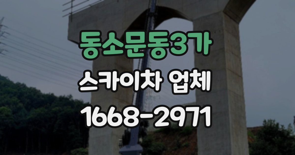 동소문동3가 스카이차 업체