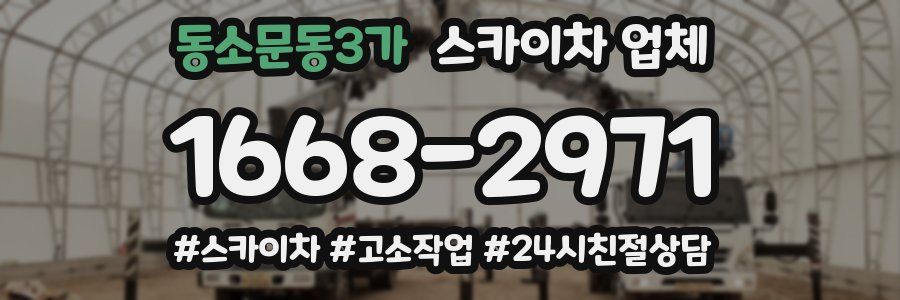 동소문동3가 스카이차 업체
