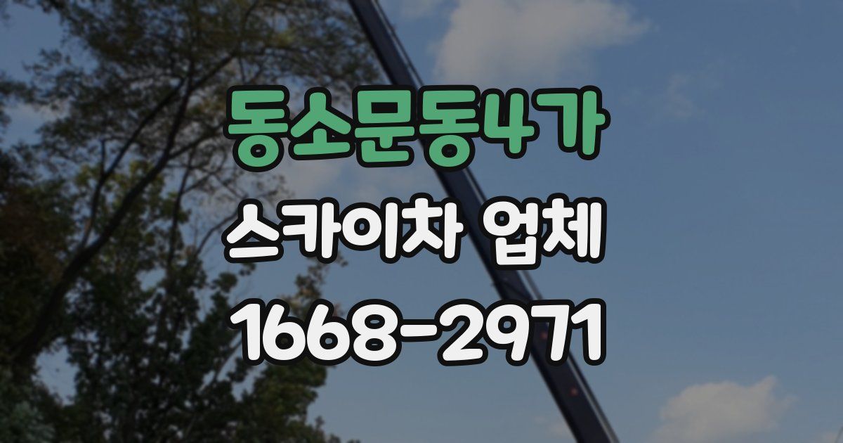 동소문동4가 스카이차 업체