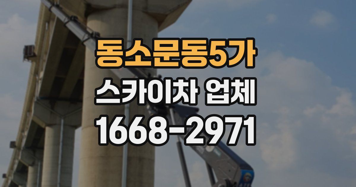 동소문동5가 스카이차 업체