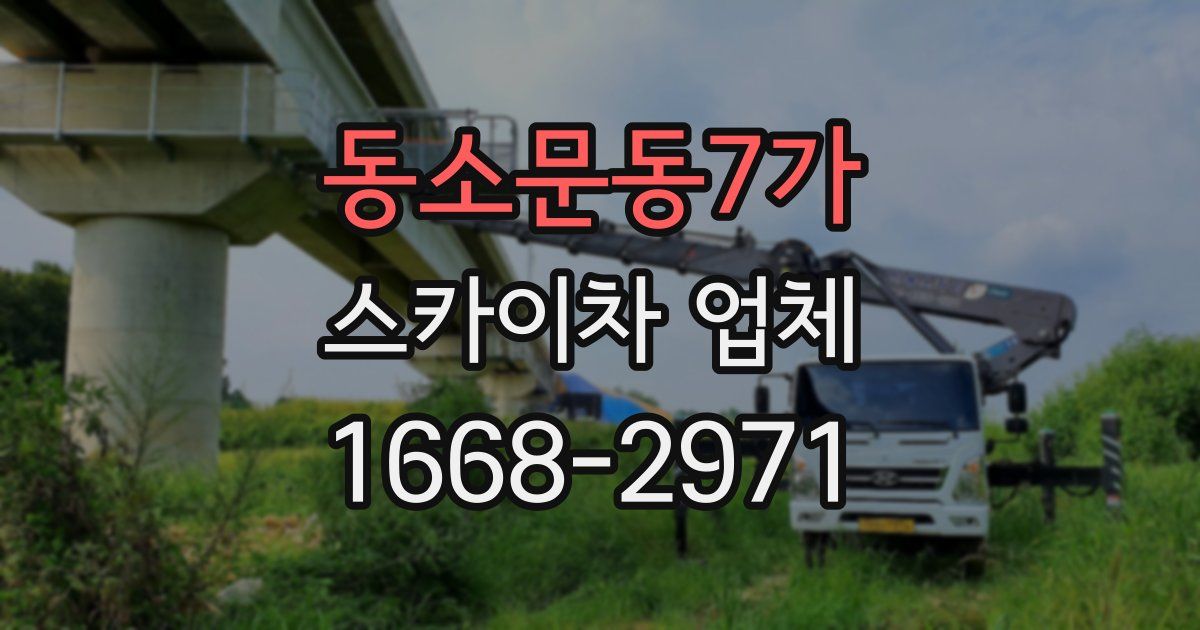 동소문동7가 스카이차 업체