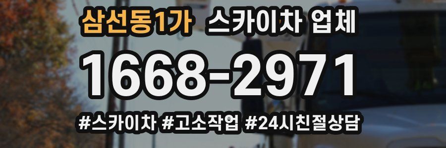 삼선동1가 스카이차 업체