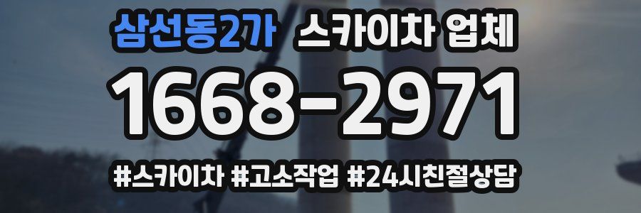 삼선동2가 스카이차 업체