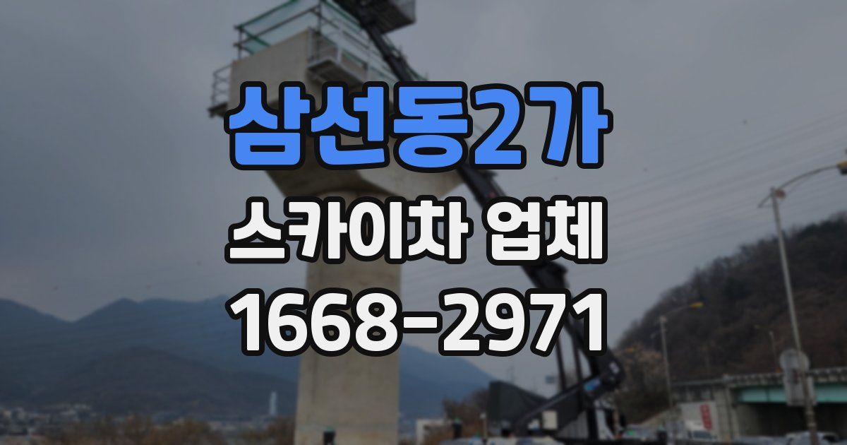 삼선동2가 스카이차 업체
