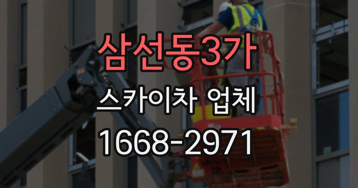 삼선동3가 스카이차 업체